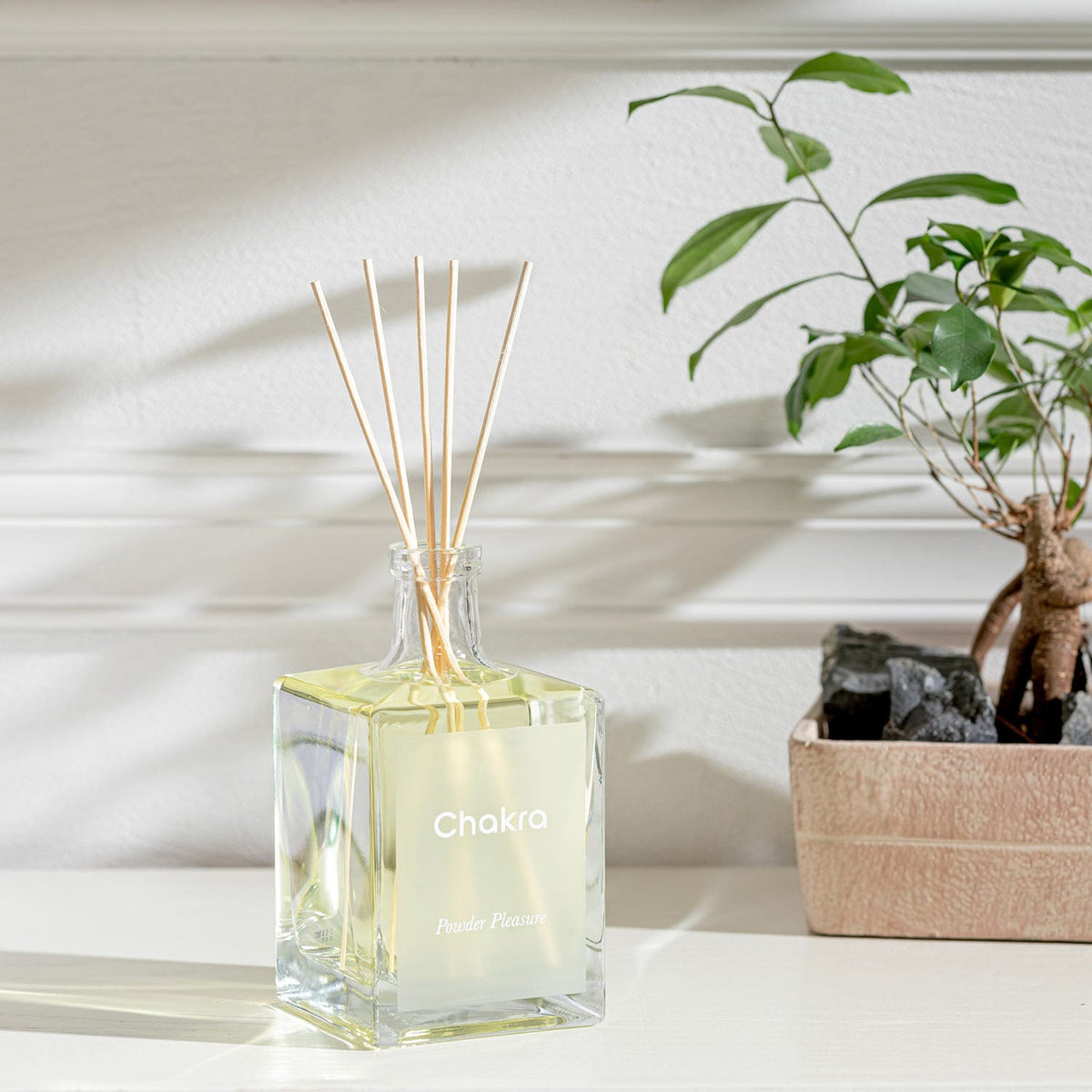 Reed Diffuser 500ml Powder Pleasure